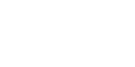 SALT logo